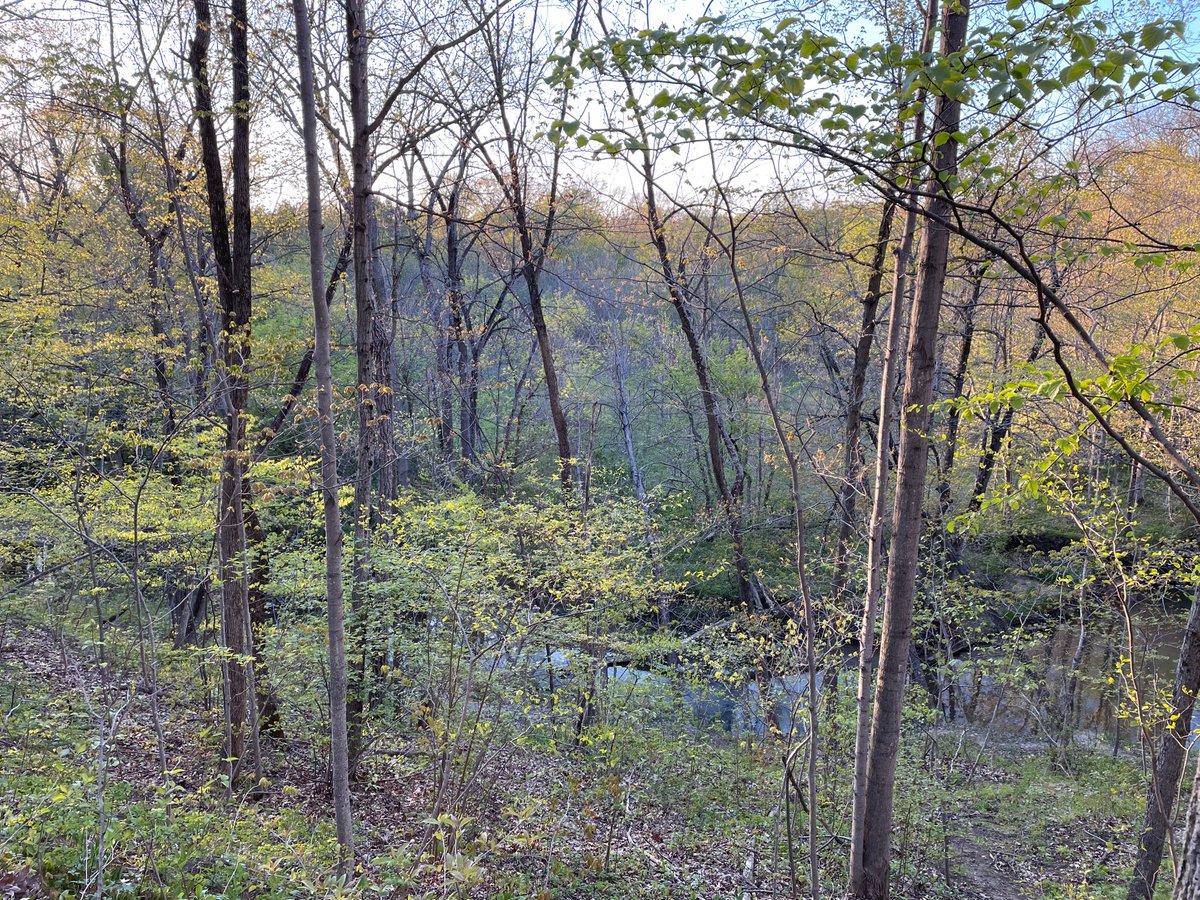 Been out hiking a lot lately. Seeing and hearing some nature.