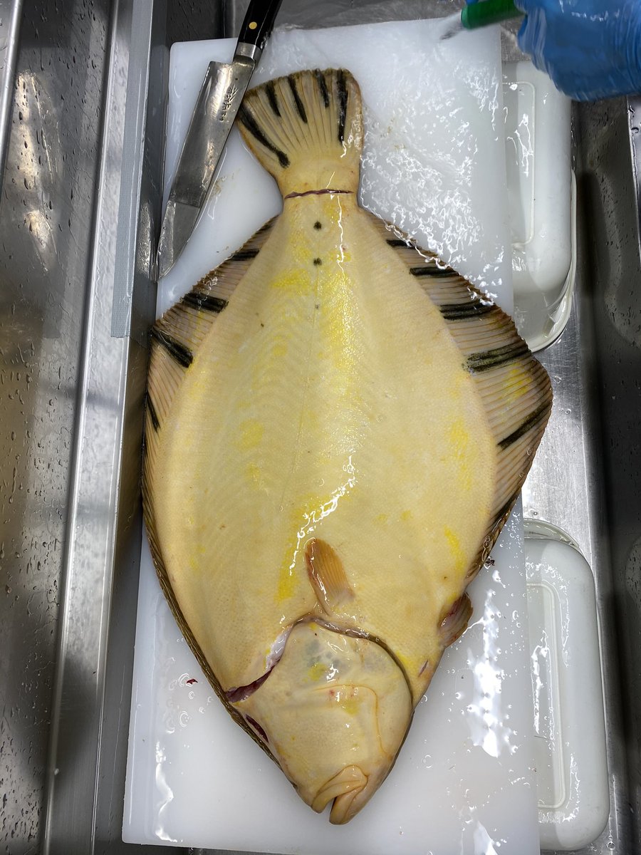 にいかっぷキッチン リーズン鮮魚店 Fresh Fishstore Twitter にいかっぷキッチン リーズン鮮魚店 Fresh Fishstore Twitter