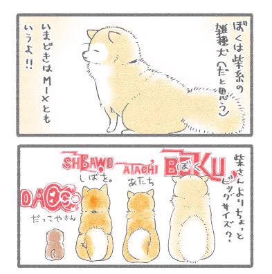 皆わんは何キロですかーー⁉️ 