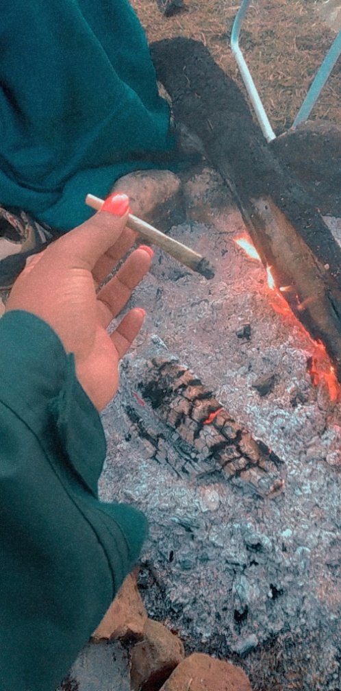 ColdAgendas's tweet photo. GOOD MORNING FROM US THE CANNABIS CAMPERS https://t.co/YIdcqDBgxR