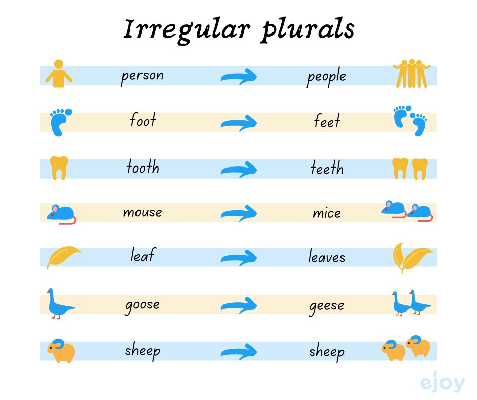 Plural Noun List in English  Plural nouns list, Plurals, Nouns