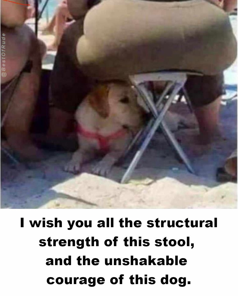 I wish you all the structural strenght of this stool, and the unshakable courage of this dog. @AlemanEnBaja  <a href="/BajaCabrones/">Baja Cabrones</a> <a href="/BajaCreations/">Baja Creations</a>
