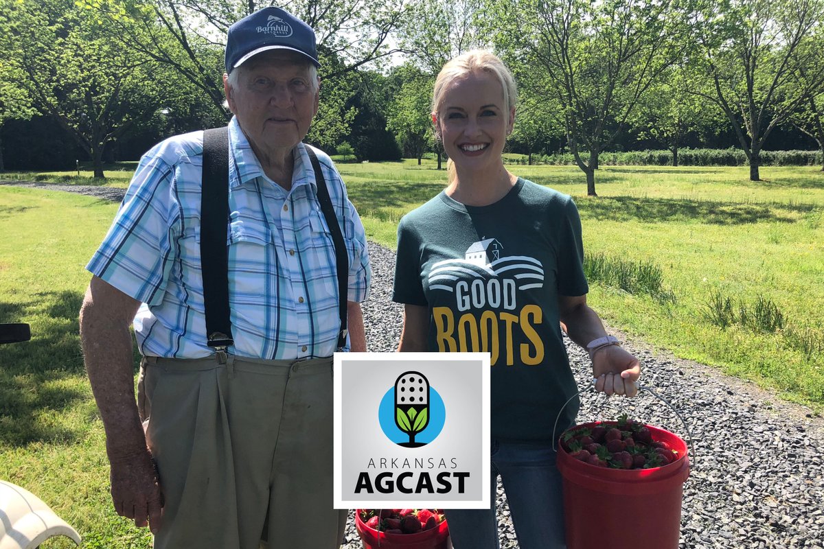 ArFB's tweet photo. On this week’s edition, we hear about recent Arkansas Supreme Court rulings related to the state Plant Board, get the latest on cotton planting in Arkansas &amp; get to know Lauren McCullough, one of the hosts of #ARGoodRoots, the new @ArkansasPBS segment. https://t.co/JWqFrC7KoZ https://t.co/A5GhrLth6i