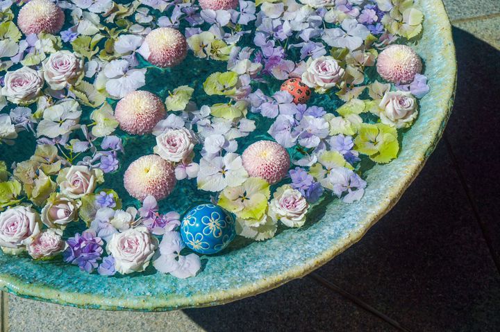 部品 西野七瀬 Rt Retrip News みなさん 花手水 はなちょうず はご存知ですか 今回は 関東 地方でこの 花手水 がみられる神社や寺院を5つご紹介します T Co Fw4r9m1nsz T Co Zlme9k1ygh Twitter