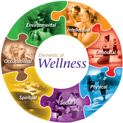 F4RChesterfield's tweet photo. Are you on an active path to recovery? Would you be interested in getting a wellness / life coach who is trained in mental health / addiction recovery? Come on in to Friends4Recovery at 7420 Whitepine rd. on Wednesdays &amp; Fridays 11am - 5pm. 388-1366 https://t.co/fEfG75Fv57