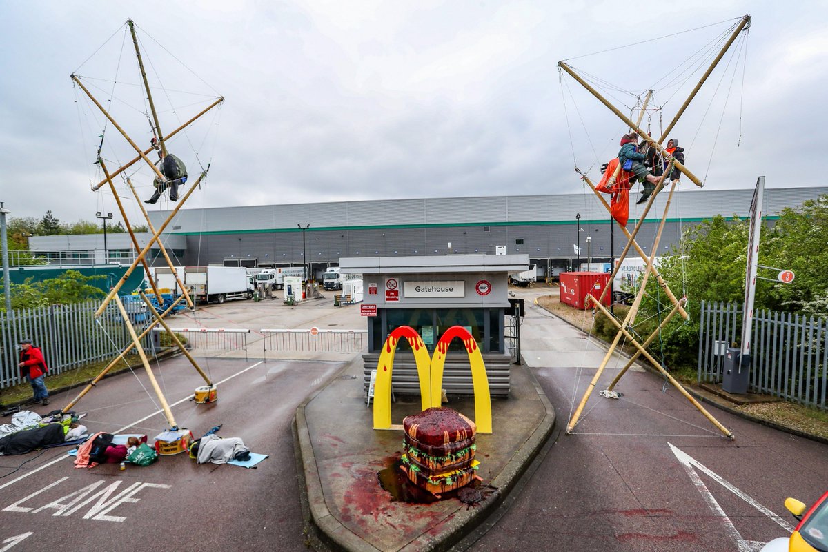 ▶ İngiltere'de 'Animal Rebellion' adıyla yapılan eylemde 1300 McDonald's restoranına ürün dağıtımı engellendi

yeniyasamgazetesi2.com/mcdonalds-prot…