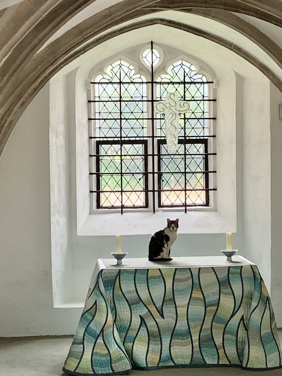 <a href="/BudgeofNorwich/">BudgeofNorwich</a> finds a quiet spot for contemplation during #BishopsDayofPrayer at <a href="/Nrw_Cathedral/">Norwich Cathedral</a>  

#ThyKingdomCome
