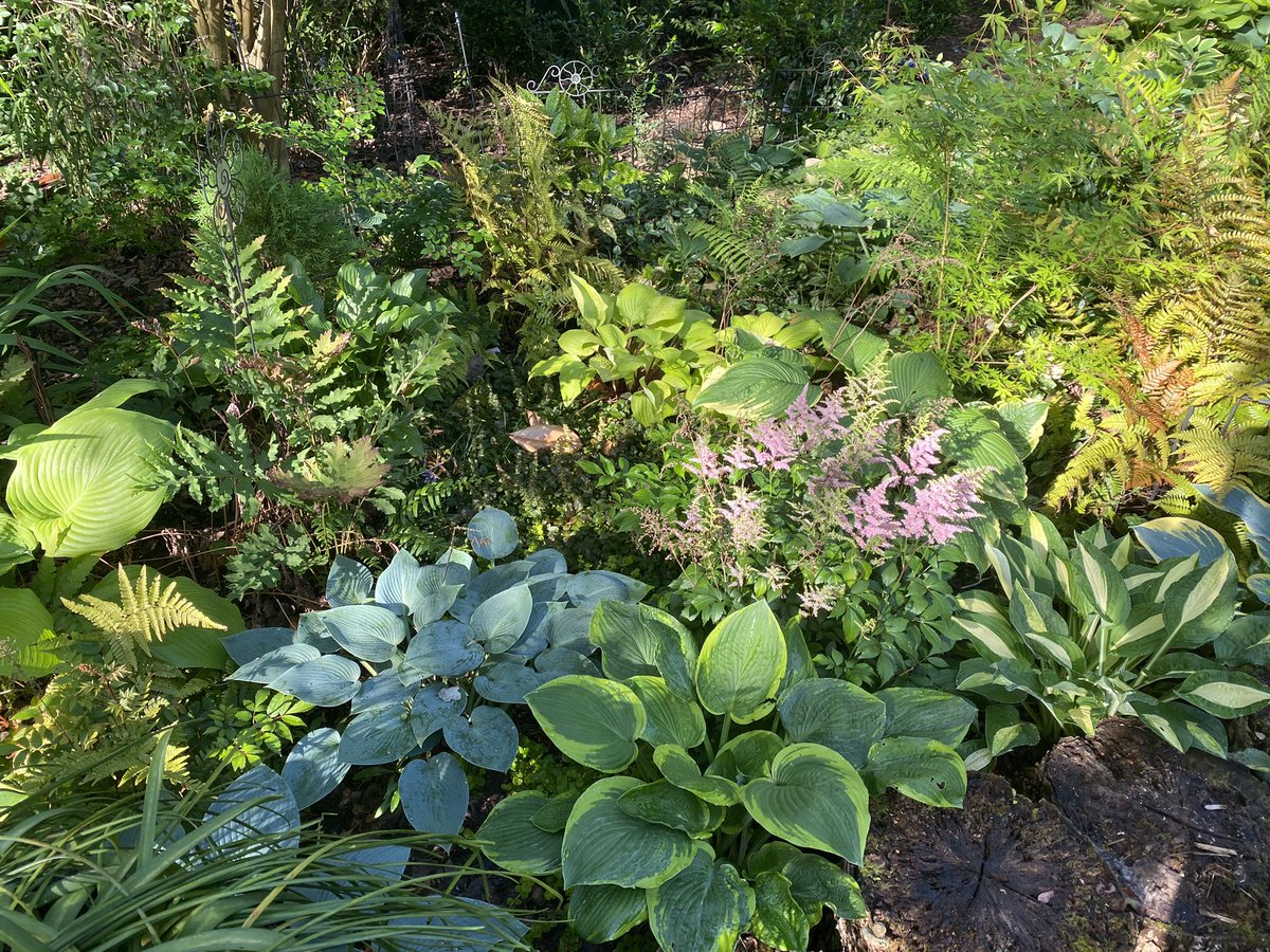 Jennifer Christie tweet media