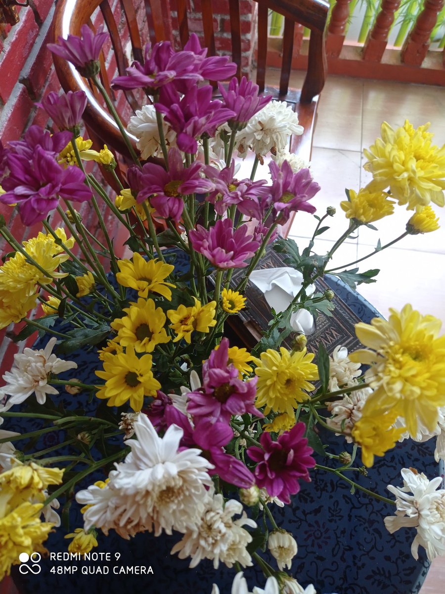 Z A R A (@zaragenza) on Twitter photo 