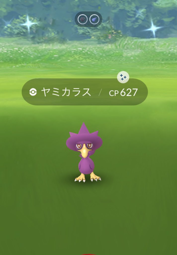 No Buts 色違いゲット ヤミカラス 11 26 ポケモンgo 色違い No Buts 色違いゲット ヤミカラス 11 26 ポケモンgo 色違い