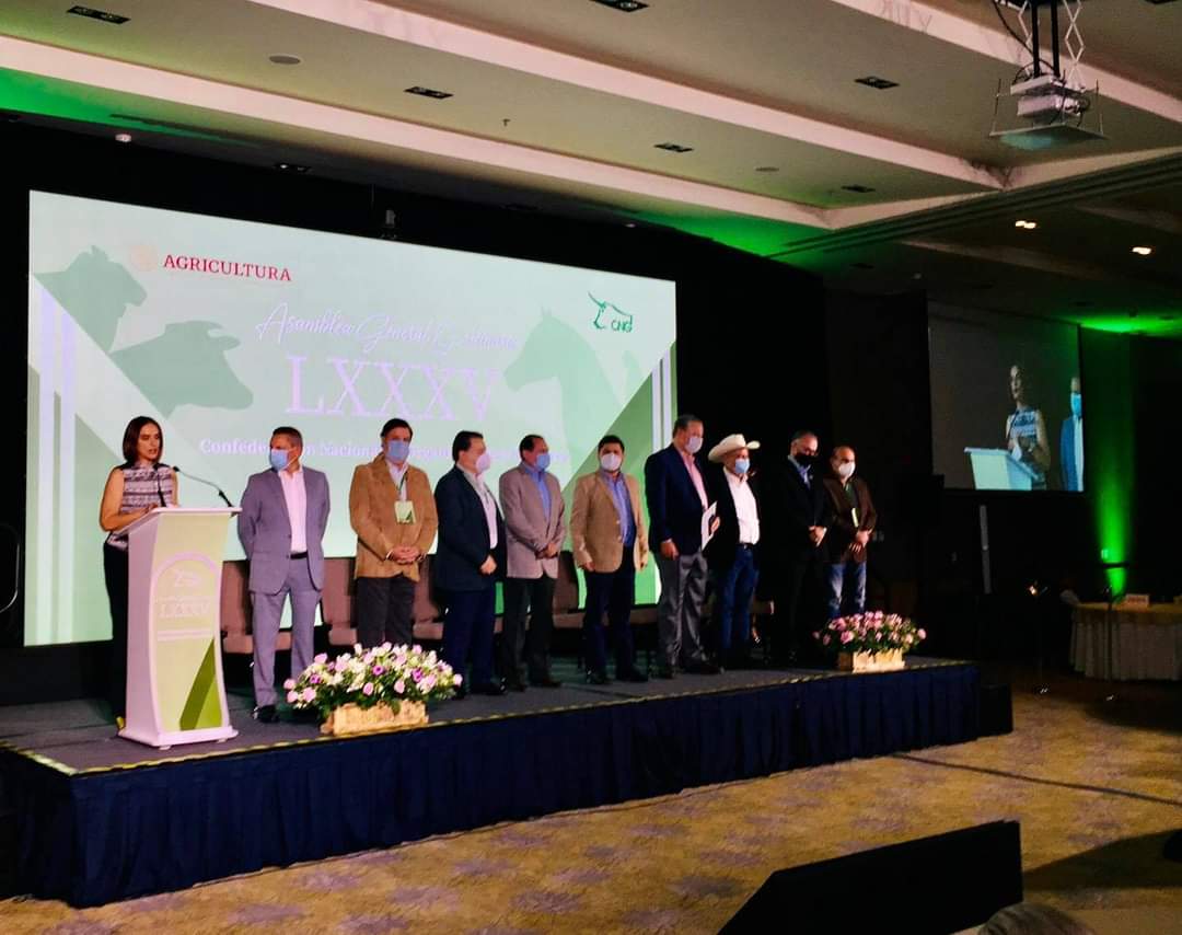 amexbu's tweet photo. NUESTRO PDTE DE @AMEXBU ISMAEL CORONEL, EN LA LXXXV ASAMBLEA  GENERAL ORDINARIA DE LA CONFEDERACIÓN NACIONAL DE ORGANIZACIONES GANADERAS @cnog  FELICITAMOS A OSWALDO CHAZARO PRESIDENTE DE NUESTRA ORGANIZACIÓN NACIONAL POR SU GRAN LABOR EN EL SECTOR GANADERO🐃🐃 DE ALIMENTOS 🐃🐃 https://t.co/OKlHWu7xLn