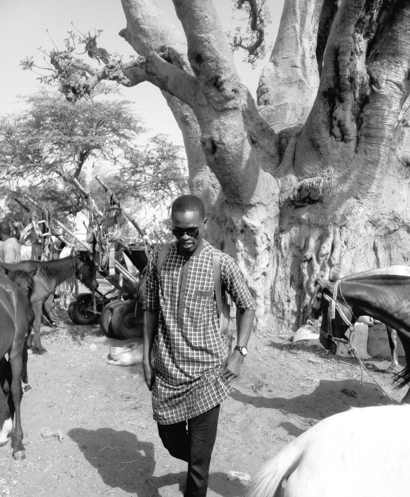 sir_does's tweet photo. Toubatoule ,Thiès, Sénégal https://t.co/4NeVGg3Gz4
