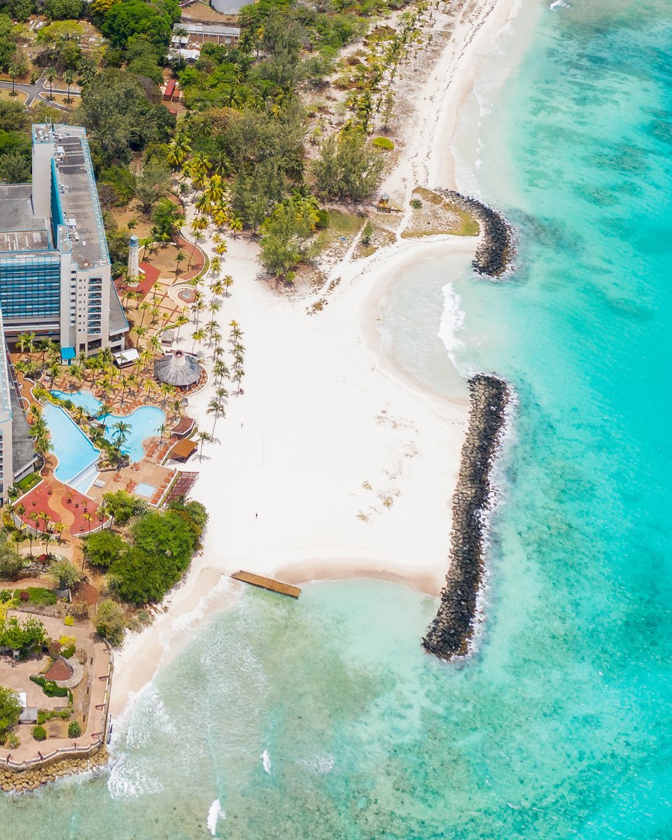 Barbados's tweet photo. All of the Bajan views I've seen so far, one of my favourite views is ______!
What's one view that you're looking forward to taking in once you're in Barbados? #LoveBarbados #VisitBarbados #FallInLoveWithBarbados
π Hilton Barbados Resort https://t.co/kn5JCd3blD