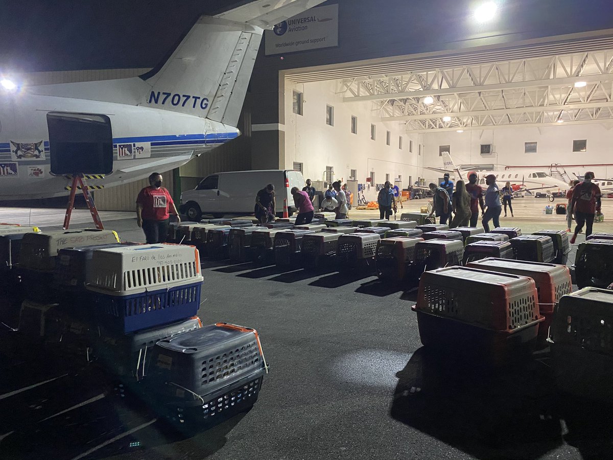 TheSatoProject's tweet photo. About last night......π΅π·πΎπΎ
#MissionPossible13 #BoomBoomStrong #rescuedog https://t.co/DbqDS4M8f8