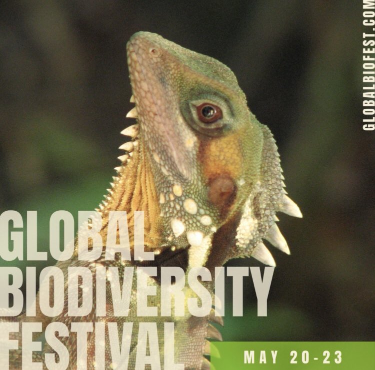 Global Alert - Trash tweet media