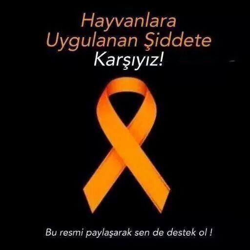 #HayvanHaklarıYasasıHemen
