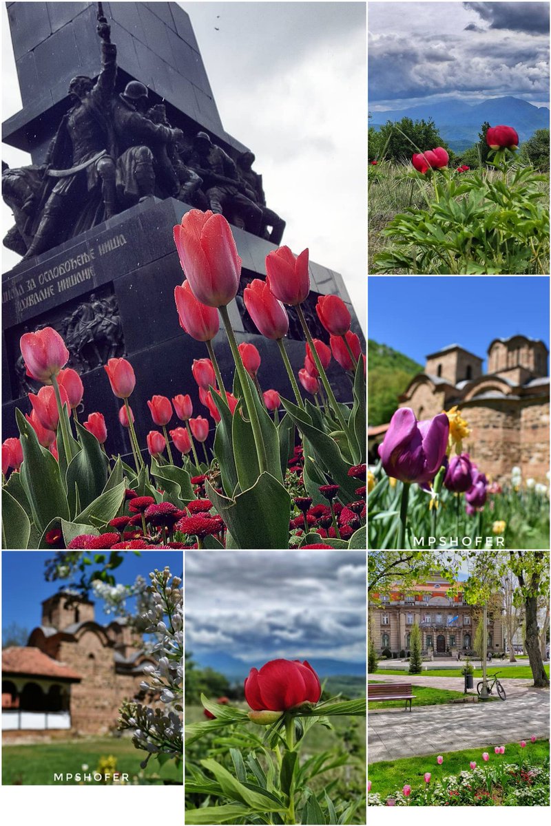 Cvece u Nisu, u manastiru Poganovo, prirodi