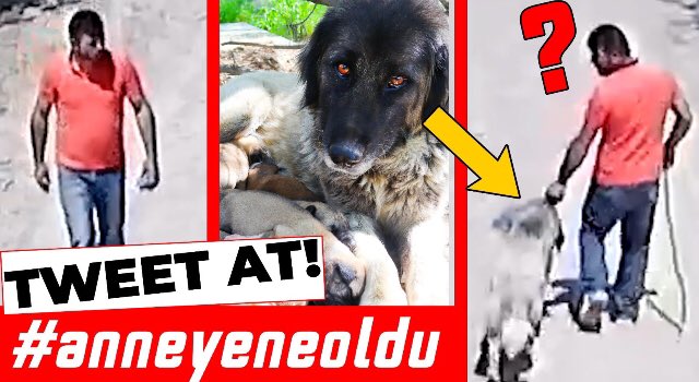 KarSumbul's tweet photo. İnsanlık olarak hiçbir şey hak etmiyorsunuz #anneyeneoldu https://t.co/sFpHgPJmVw
