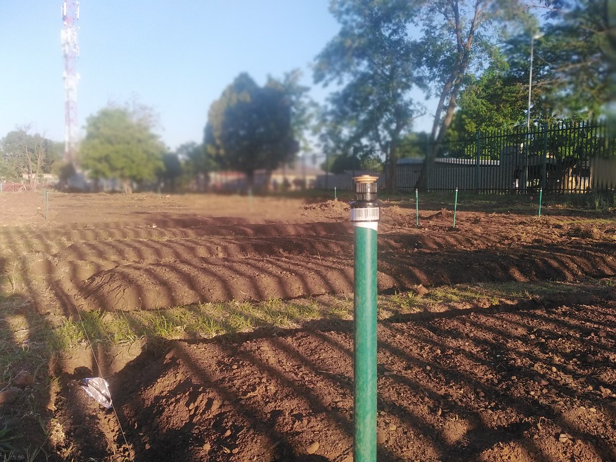 RonewaCreations's tweet photo. All your garden needs in one stop!!!
Soweto company operating only in Johannesburg. Contact us to deal with Female Landscapers 0836753842 / 0730123835 @lesego_seloane_ and @DinzoDj
#Gardens #Landscaping #Irrigation #LoveYourSurroundings #Hollard #BigAdsforSmallBusiness @djsbu https://t.co/nYQrvjTNsn