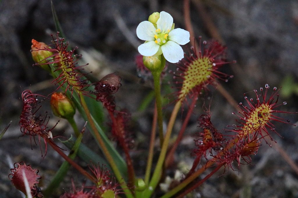 Joshua Styles tweet media