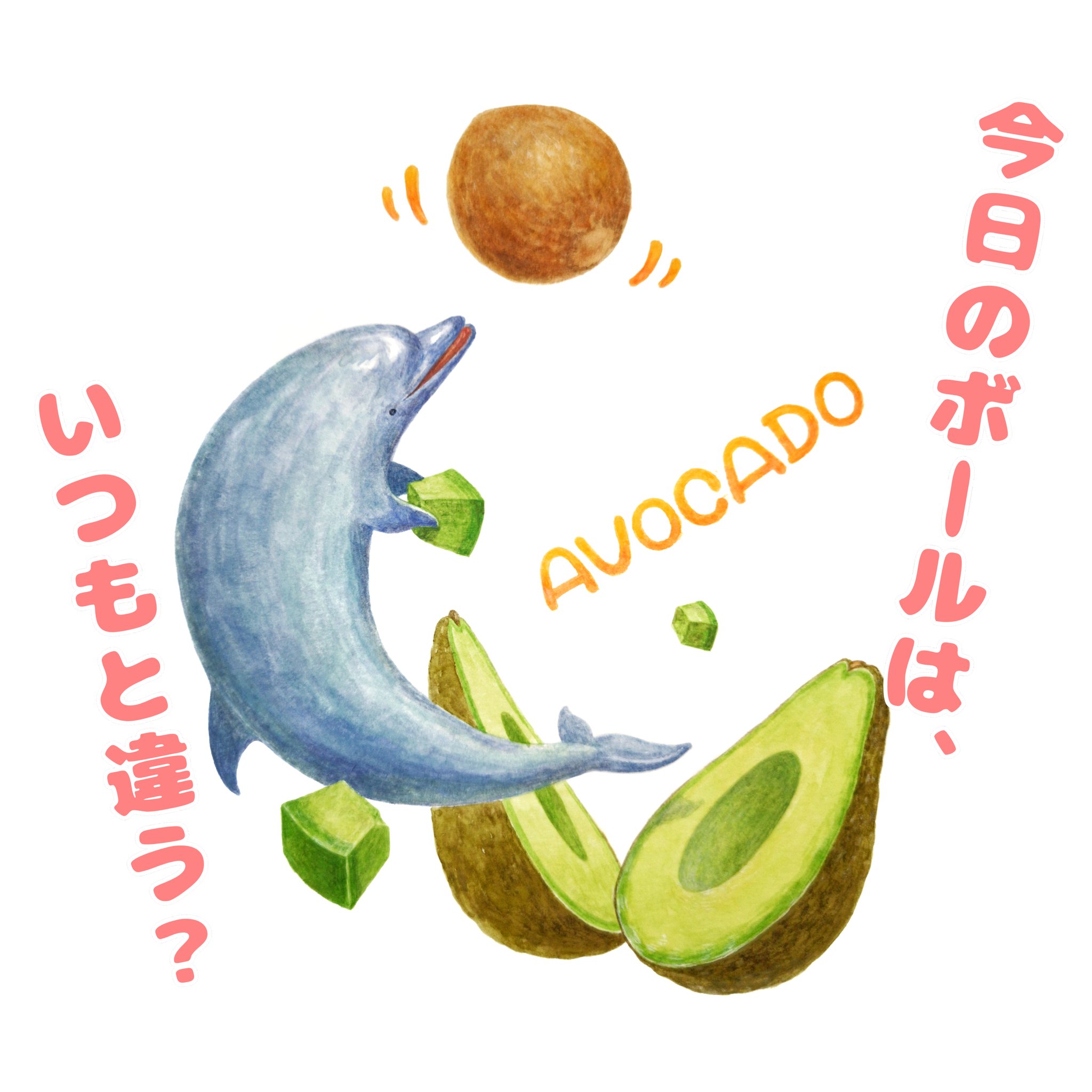 Hirotoshi Kanou ボール遊び ボールで遊ぶの大好き でも今日のボール いつものボールと何か違うみたい イルカのイラスト アボカド好き ボールキャッチ 動物イラスト Avocado Dolphin Animalillustrate T Co Dtok9cik9n Twitter