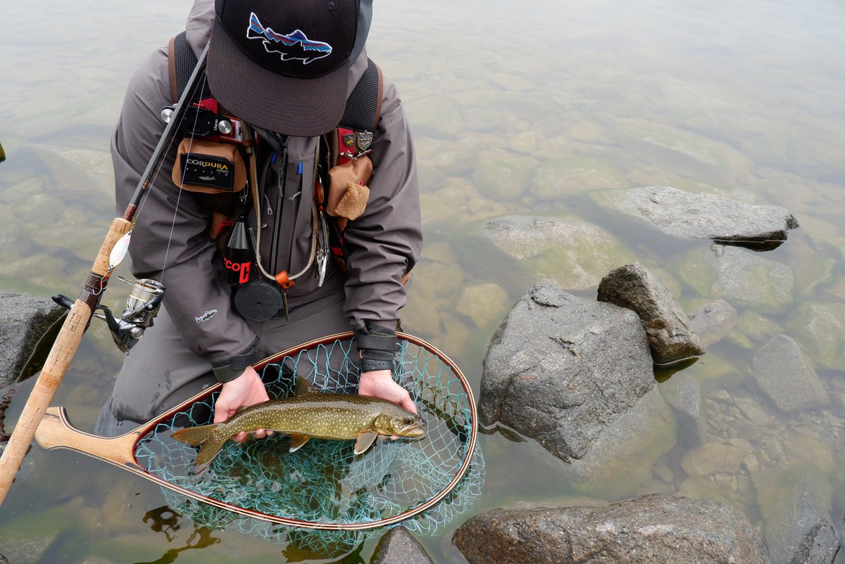 kiryu_v's tweet photo. 最高の1日の立役者。
#rodeocraft #syylabel #patagonia #bigfish1983 #tonedtrout #植木屋ネット #varivas #huercojp https://t.co/8hCzJ7Bjwz