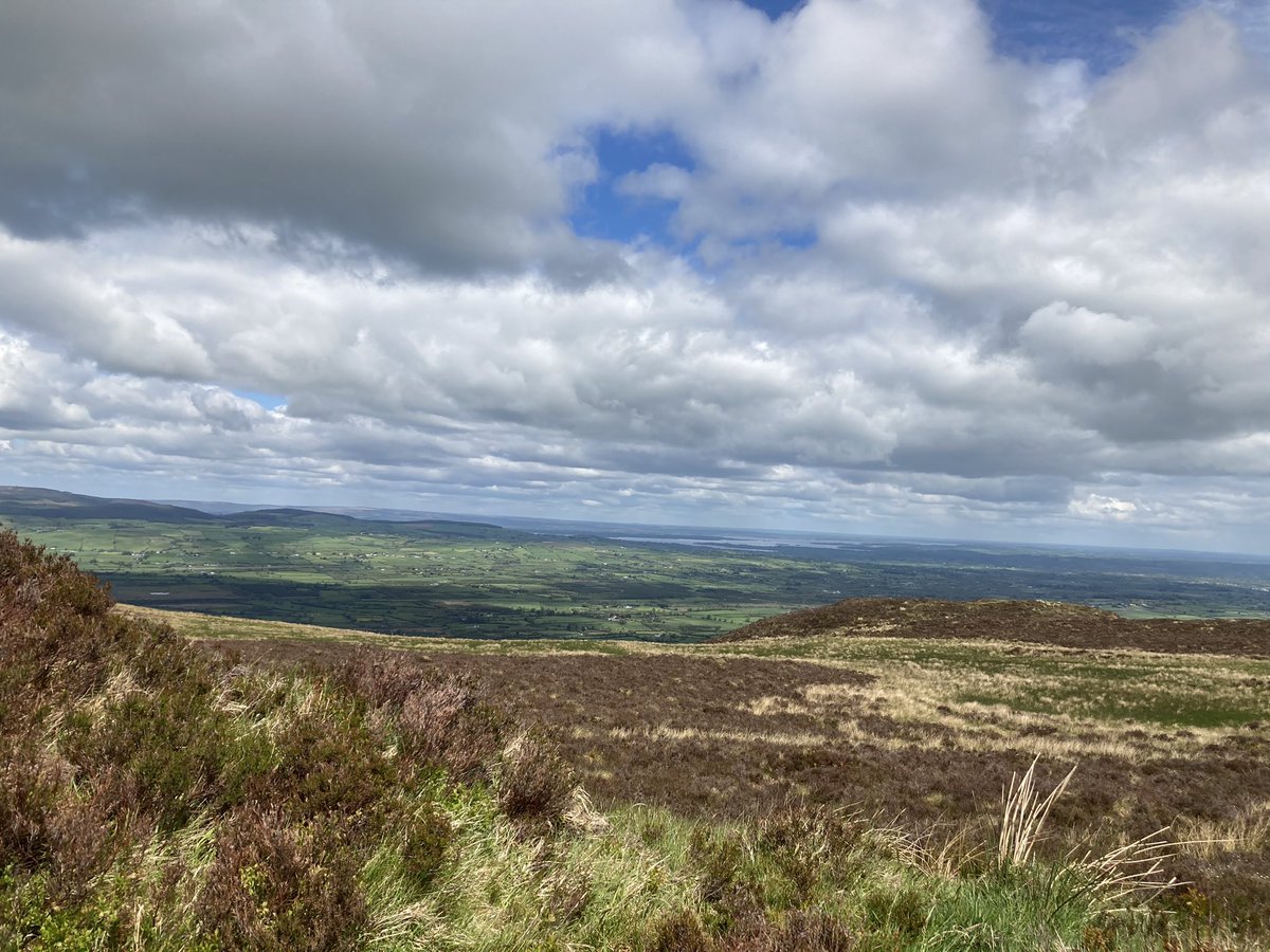 Margaret Lawlor tweet media