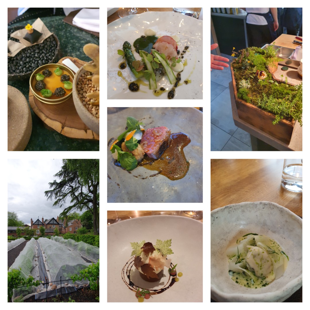 Serial45's tweet image. @restmoorhall @MarkDBirchall menu completely elevated. The complexity of ingredients, level of service and attention to detail is on par with any of the 3 michelin starred restaurant I've been to. Lobster, lamb and rhubarb desserts my highlights! 10/10