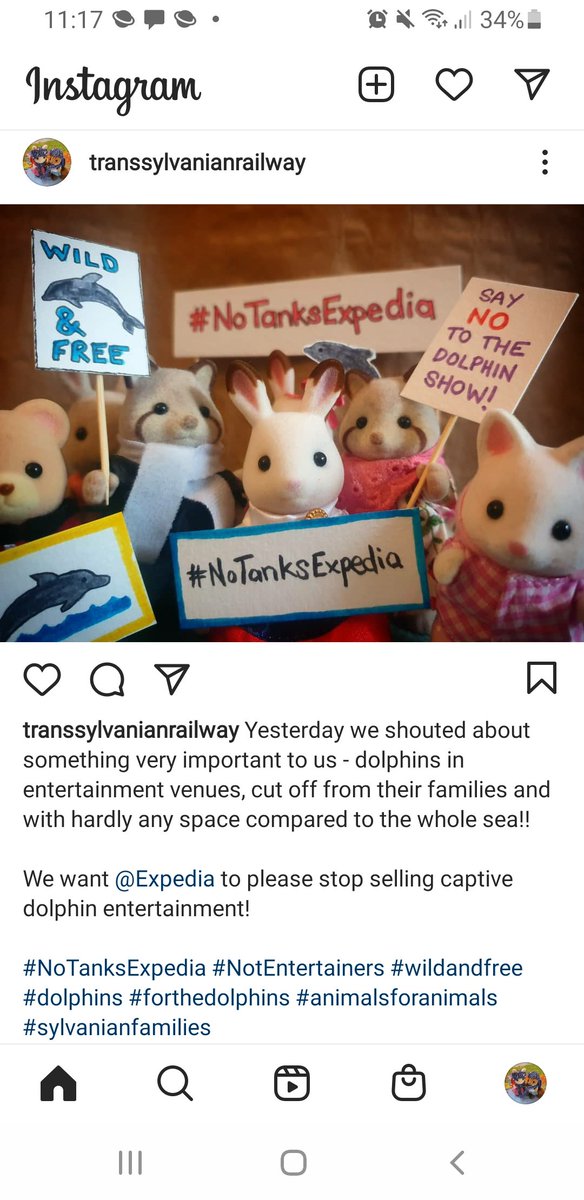 dinowise's tweet photo. Look who joined the campaign!
#NoTanksExpedia #NotEntertainers #JoinedthePod #animals #emptythetanks #sylvanianfamilies #wildlife #wildandfree #DoTheRightThing @Expedia @ExpediaUK @ExpediaGroup https://t.co/DqCie6iwTB