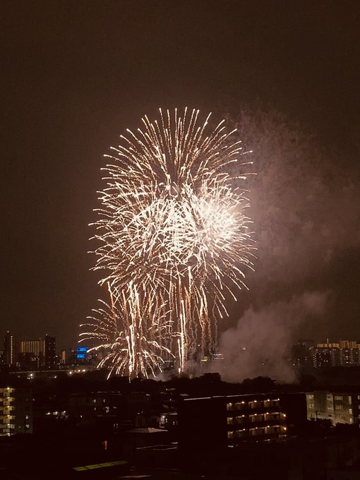 花火の音がして外を見たら19時半から荒川河川敷で打ち上げられてた 川口商工会議所青年部主催 医療従事者への応援サプライズ花火5月22日 まとめ部