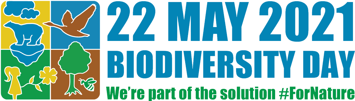SAERI_FI's tweet photo. Celebrating #BiodiversityDay2021! Glacial drop stones in the FICZ #deep-sea act as #biodiversity hotspots by providing hard substrate for epifauna in an otherwise soft sediment dominated environment. #cold-water corals #VMEProject #Bryozoa #Porifera #ForNature https://t.co/kki2GgLyUX