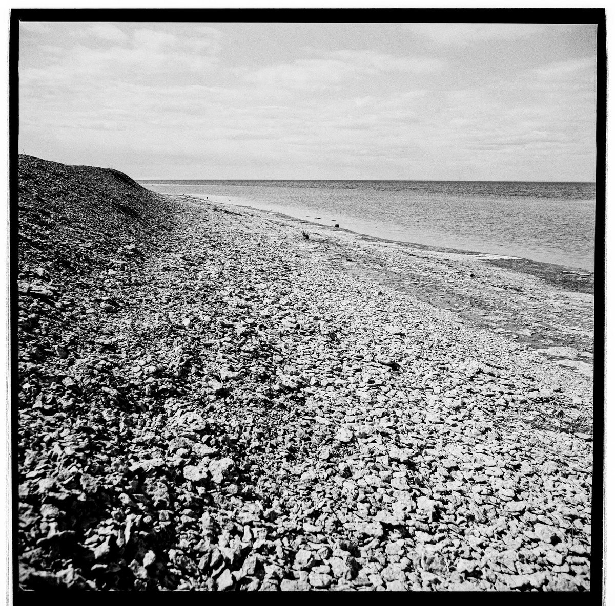 Löttorp, Öland. 
Ilford 100, Hasselblad 500 C, Planar 80

#hasselblad500c #hasselblad #carlzeisslenses #planar80mm #shootingfilm #oldschool #film #blackandwhite #ilford #ilfordphoto #ilfordfilm #visitkalmar #visitöland #visitoland