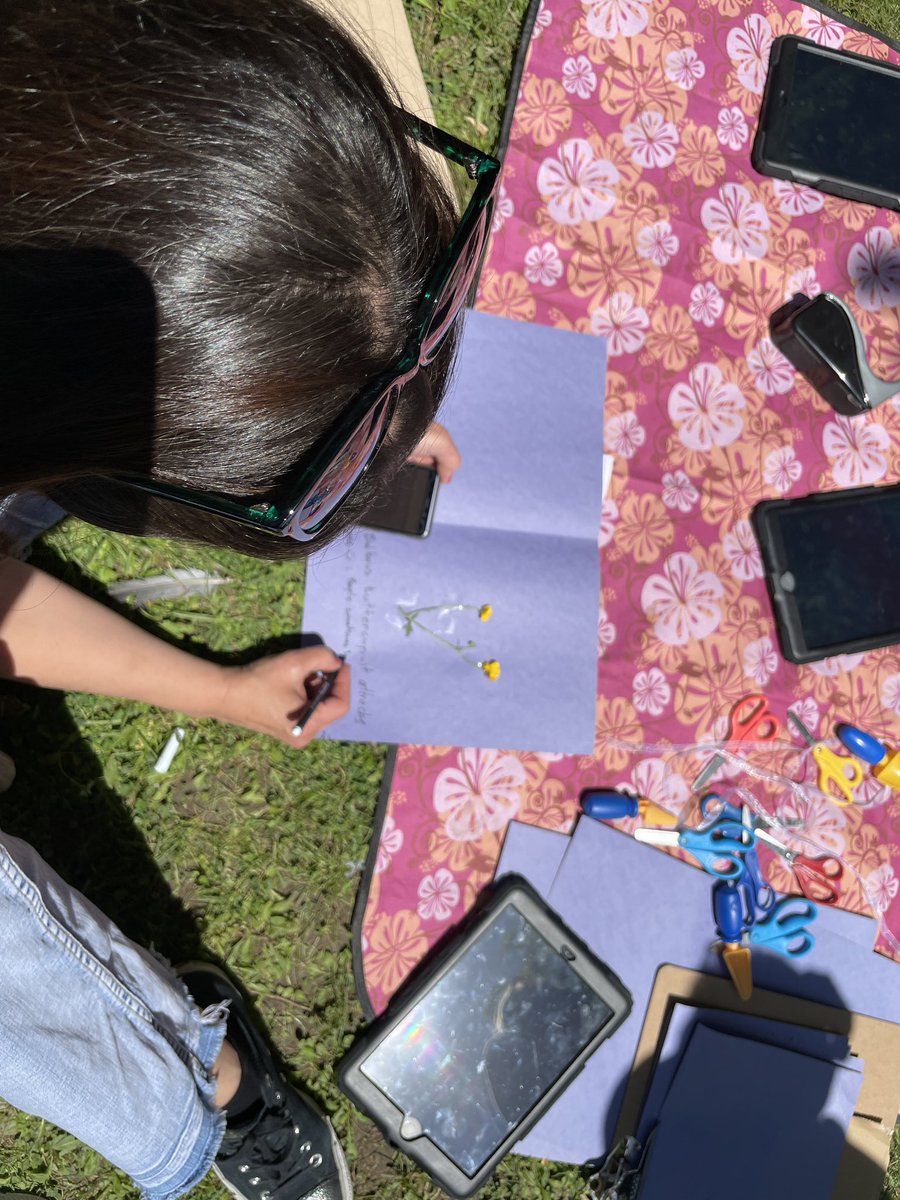 brookemobley15's tweet photo. @ISBelgrade #LearningISB making a herbarium https://t.co/vXRQEEYvTR