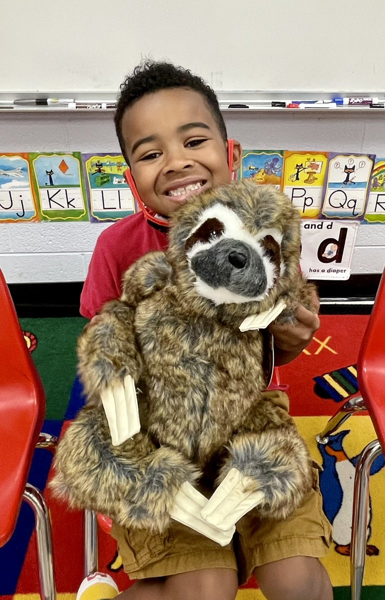 ekkiger's tweet photo. We ❤️ rainforest  animals and learned: A 3-toed sloth has 3-4 inch long claws, moves VERY slowly, spends 90% of its life hanging upside down from branches. The ring-tailed lemur’s tail is longer than it’s body. Big eyes help lemurs see well at night. https://t.co/uRjTveZWQu