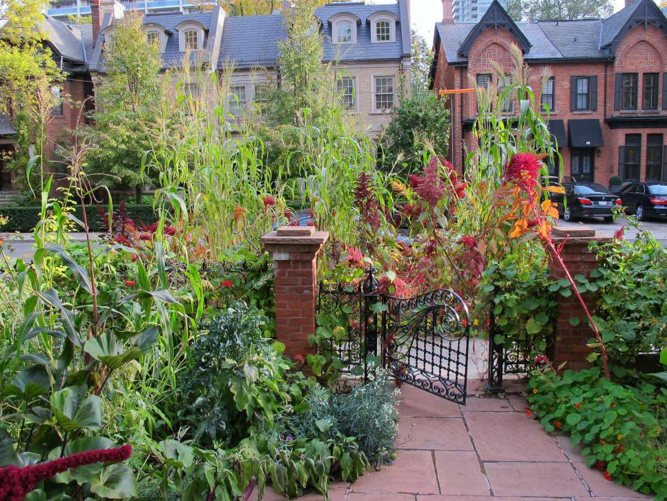 BeastsPhoenix's tweet photo. unsure of what sounds come from the old home over the thundering of my heart.

There’s a garden across the street. I hide my case amongst the overgrown foliage. When I’m satisfied it’s safe, I try to find my way back to Book and Candle.

Lost, I find myself panting for breath >> https://t.co/qgnDZTYmnW