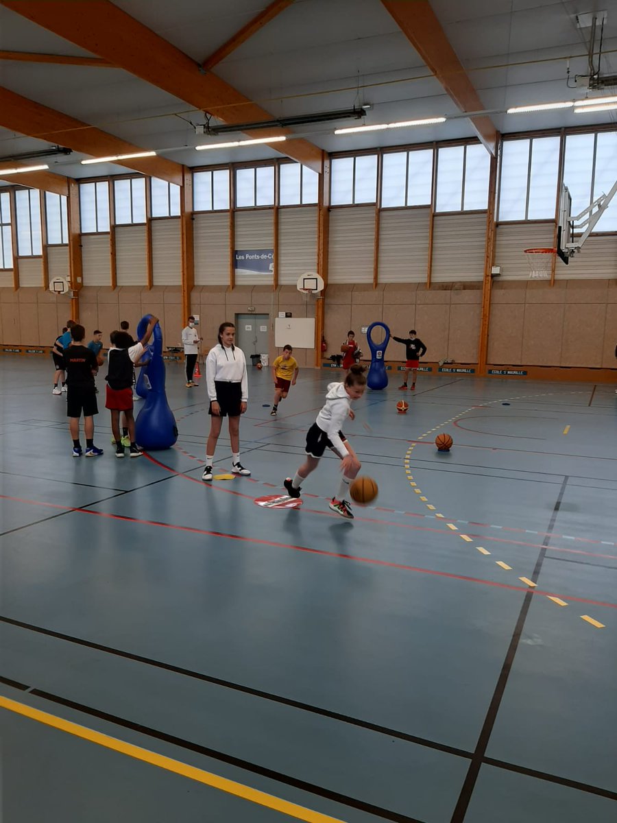 BasketCd49 tweet picture