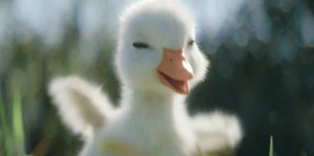 if louis tomlinson not a duck then why he