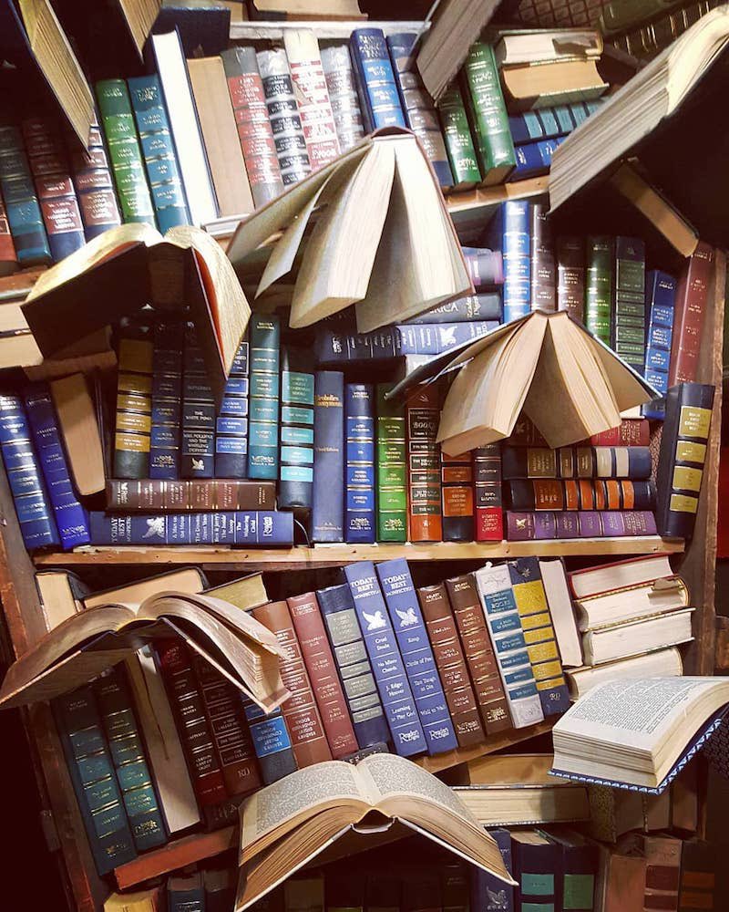BeastsPhoenix's tweet photo. to be sure.

The bell above the door clattered when I pushed inside. Books fly from shelves and hover in the air. Lightheaded, I duck behind the counter and curl my knees up to my chest.

That’s where @ILikeHimALatte finds me an hour later. When my eyes meet hers, I don’t see >> https://t.co/mdPmFSPRDu