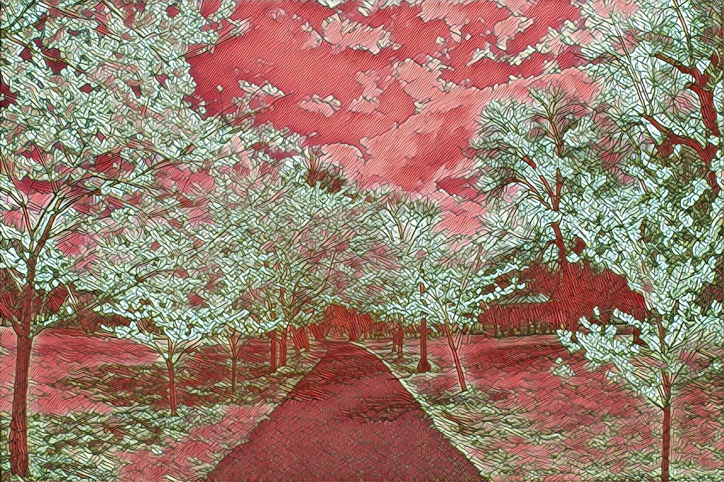 vintiga's tweet photo. Park Path

#ParkPath #Park #Path #StLouisCountyPark #CountyPark #Spring #Springtime #Outside #WalkAbout #Art #Photography #Colorful #Prisma #PrismaEdit #PrismaRemix #PrismaAI #AI https://t.co/1K0kH92Jnn