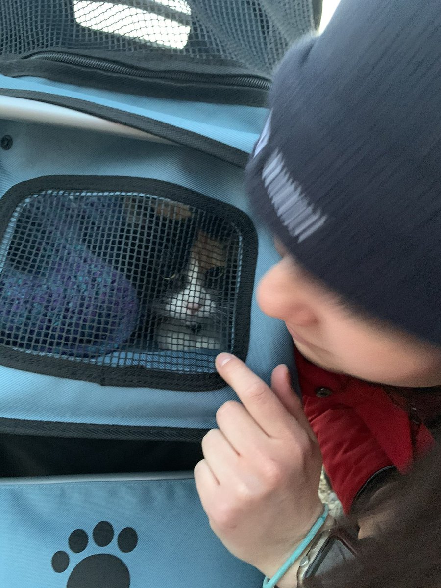 AutumnDaleD's tweet photo. @rastasack @CBCNews @liam_britten I use a cat stroller too. https://t.co/UhnvACiawq