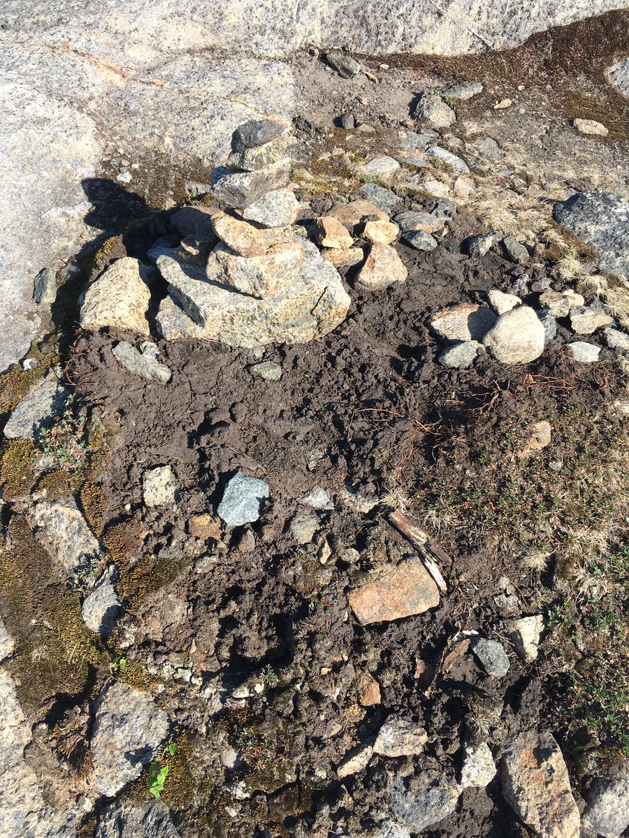 summitsteward's tweet photo. Stacking rocks damages soil and plants, misleads hikers, and undoes trail work done by summit stewards. Those rocks were previously stabilizing soil and delineating the trail above treeline. #norockstacking @leavenotrace https://t.co/3sdEDjfODr