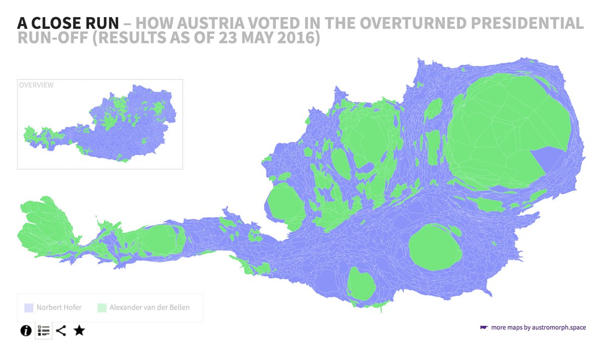 austromorph tweet media