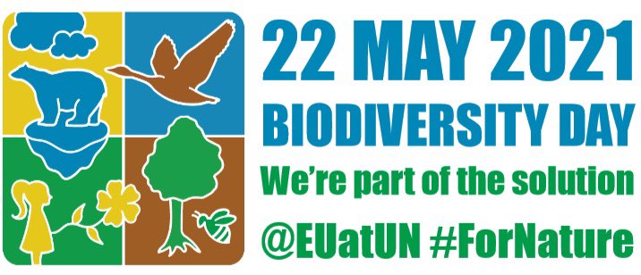 We all have a role to play in achieving the 2050 Vision of living in harmony with nature🦉

The #EUBiodiversity🇪🇺 strategy is our comprehensive, ambitious &amp; long-term plan to protect nature and reverse the degradation of ecosystems by 2030.

#BiodiversityDay 🌿#ForNature