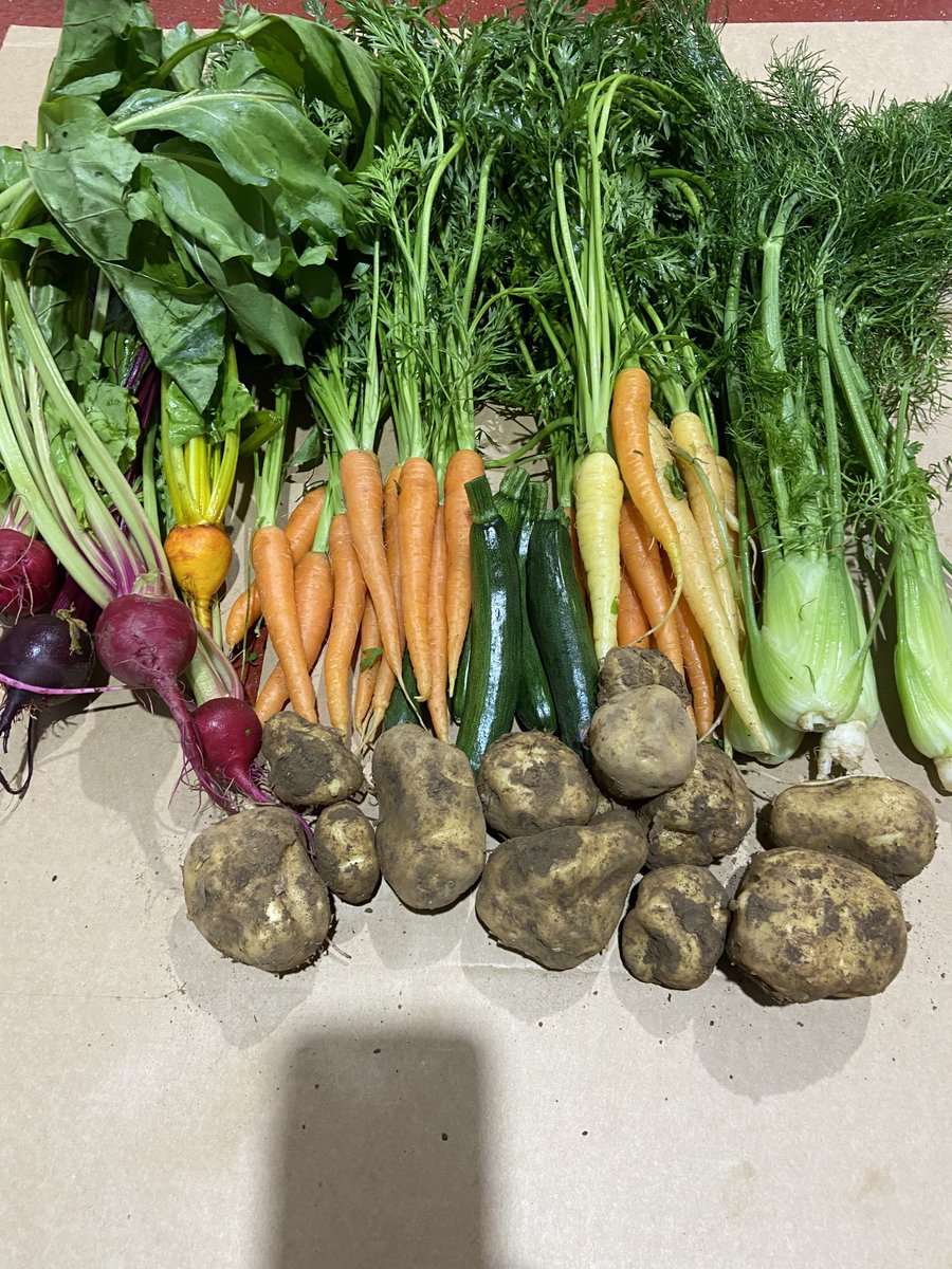 st Margaret’s livery and grazing tweet media