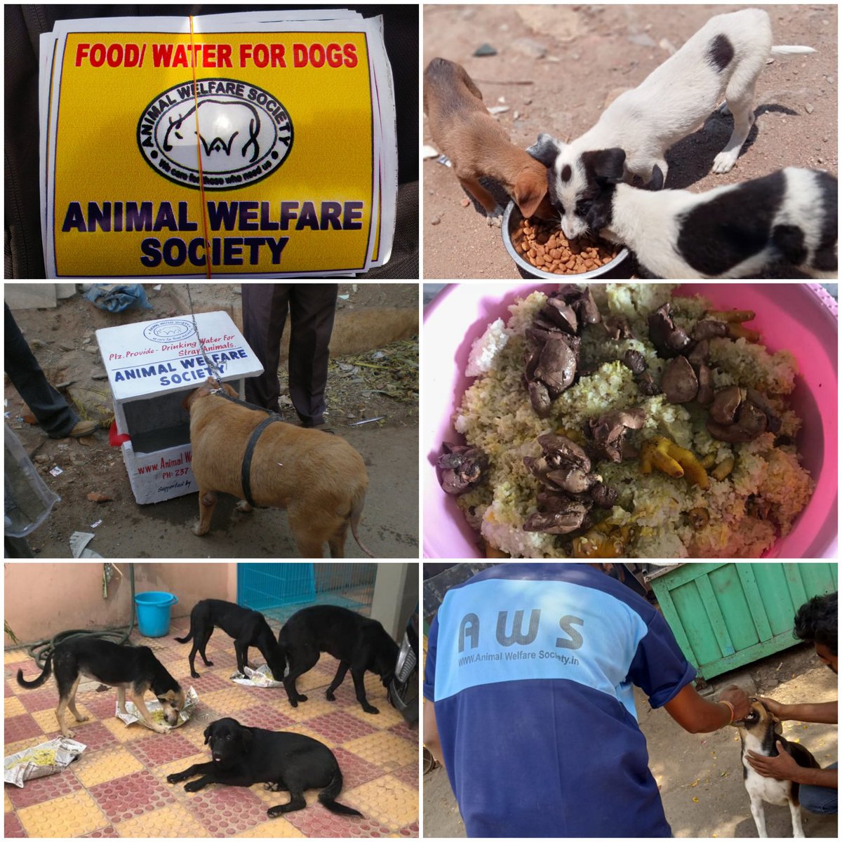 Animal Welfare Society (@welfareofanimal) / Twitter Animal Welfare Society (@welfareofanimal) / Twitter