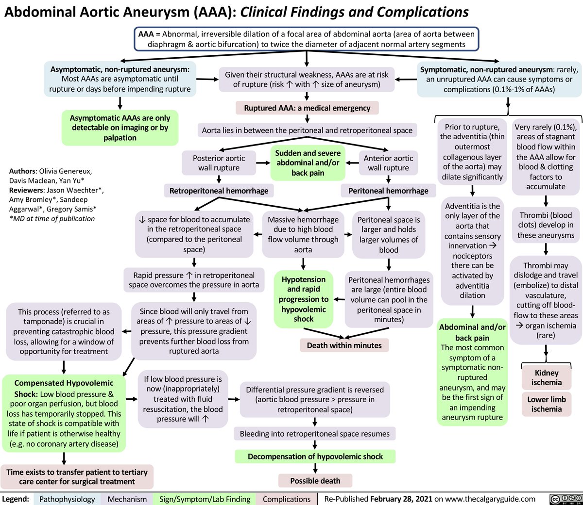 Abdominal Aortic Aneurysm - Clinical Findings and Complications