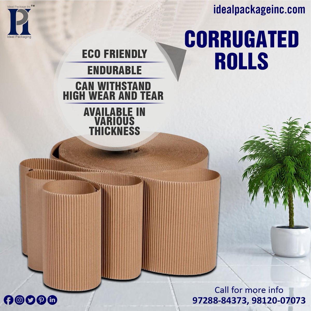IDEALPACKAGEINC's tweet image. Corrugated Rolls provide more flexibility, allowing you to cover the items providing shock-absorbing covering. 
#idealpackageinc #corrugatedrolls #corrugateditems #corrugatedpackaging #corrugatedsheets #packaging #corrugated #ecofriendly #products
idealpackageinc.com/corrugated-rol…
