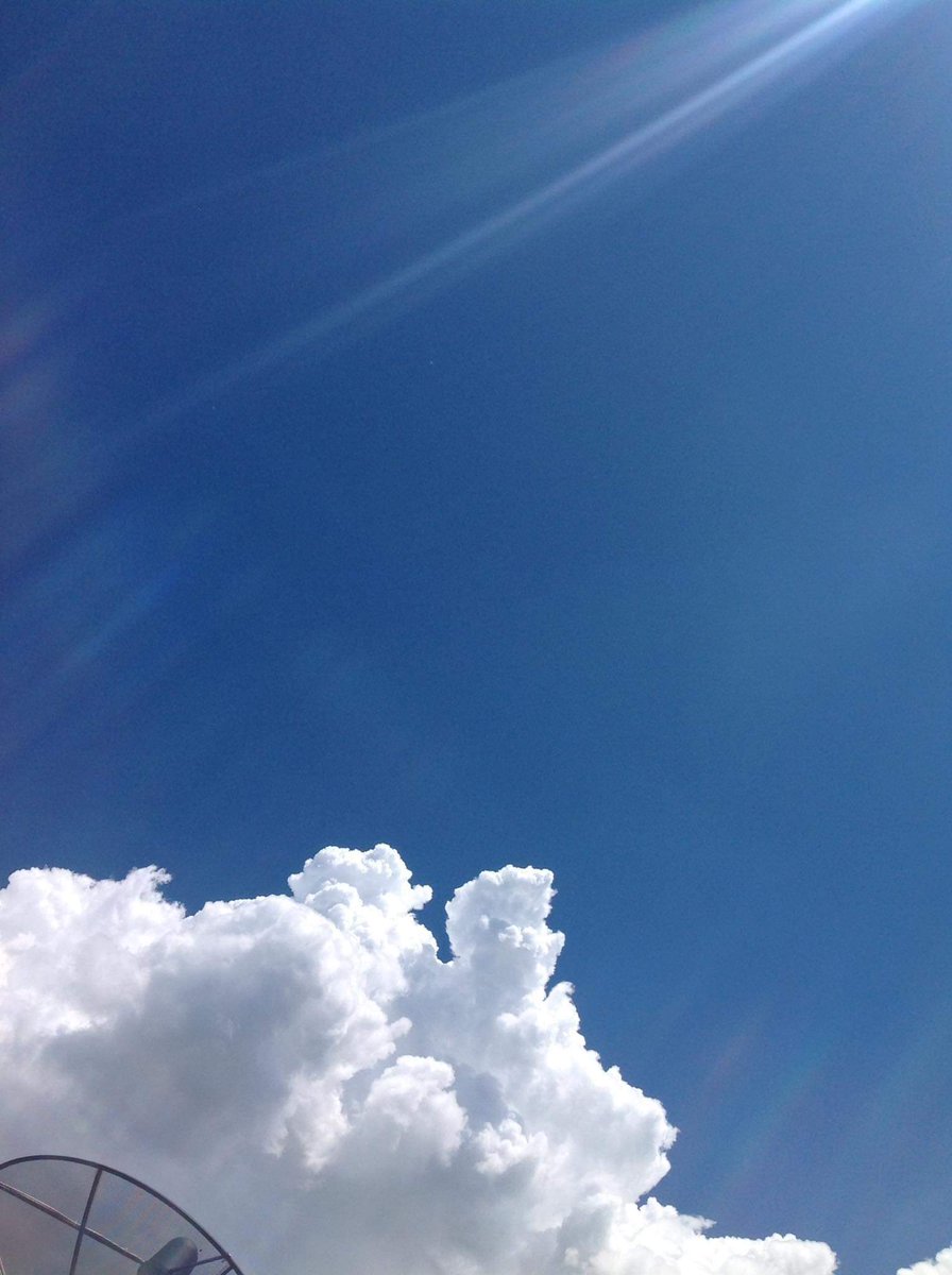 bab_vv☁️🌹 tweet media