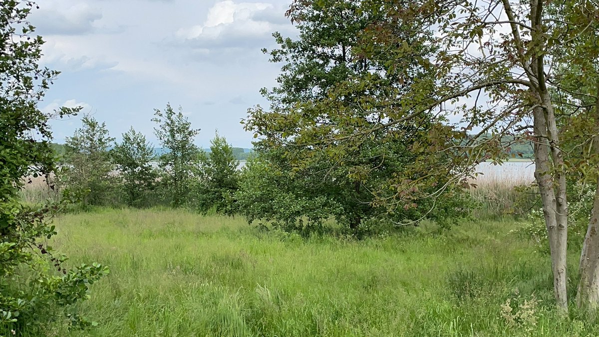 padovani_gigi's tweet image. Da quanti anni esiste il Parco Naturale del Lago di Candia della @regionepiemonte? E  i l’agi di Avigliana? Non sono riusciti in 30/40 anni a fare un sentiero di passeggio intortano al lago ! Poi si riempiono la bocca di @piemonteparchi e #visitpiemonte !