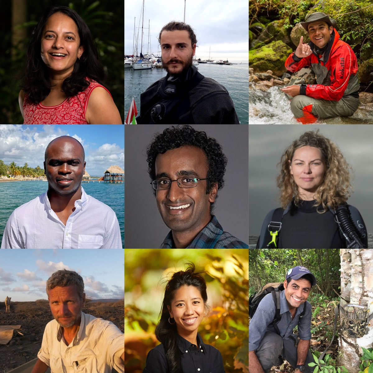 Global Biodiversity Festival tweet media